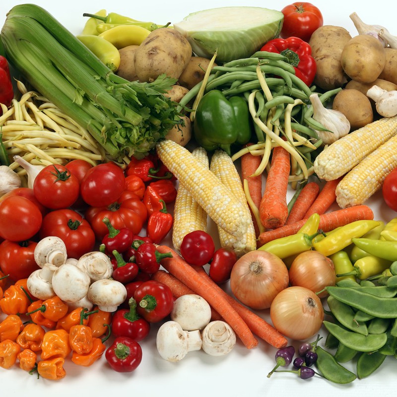 Garden in a Basket