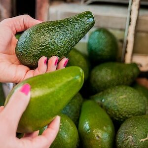 Fresh Avocados