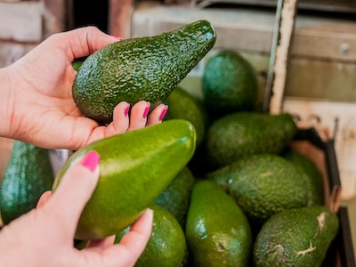 Fresh Avocados