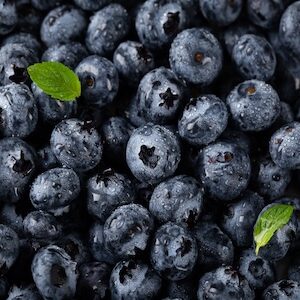Fresh Blueberries