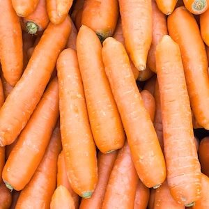 Fresh Carrots